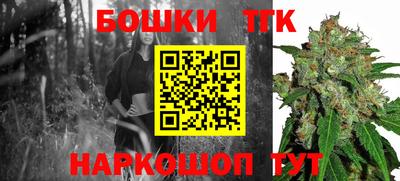 МДПВ Ливны