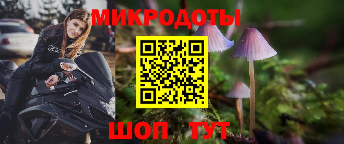 Галлюциногенные грибы прущие грибы Верхний Уфалей